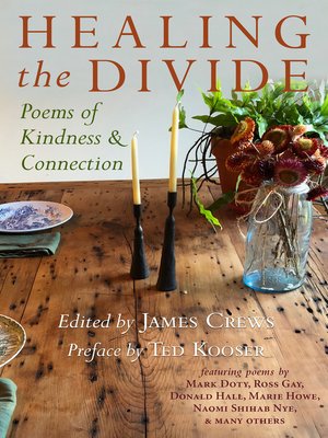 cover image of Healing the Divide
